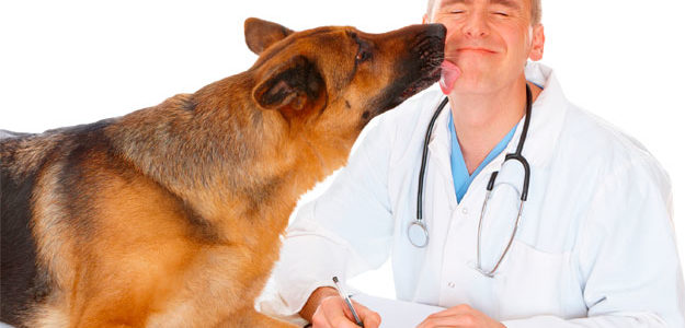 Qué estudiar para ser veterinario | Requisitos y Oportunidades