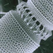 Trabajar en Nanotecnología: Estudios y Carreras